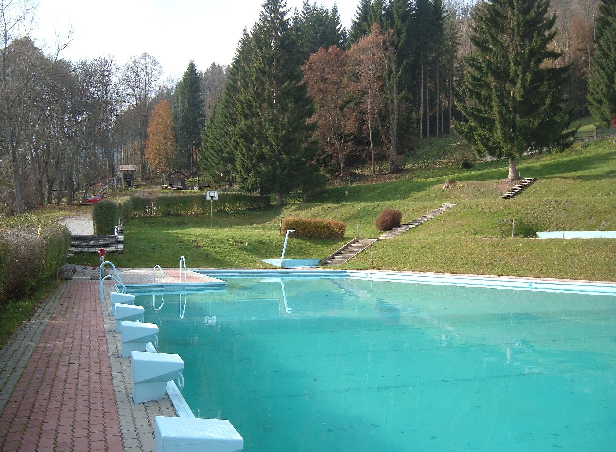 Pool, Wald © Markus Harg