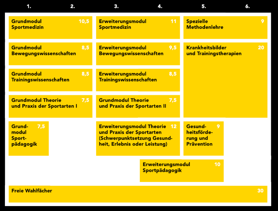 Laut Tabelle teilen sich die 180 ECTS des Bachelorstudiums Sport- und Bewegungswissenschaften wie folgt auf: Grundmodul Sportmedizin (10,5 ECTS); Grundmodul Bewegungswissenschaften (8,5 ECTS); Grundmodul Trainingswissenschaften (8,5 ECTS); Grundmodul Theorie und Praxis der Sportarten I (7,5 ECTS); Grundmodul Sportpädagogik (7,5 ECTS); Erweiterungsmodul Sportmedizin (11 ECTS); Erweiterungsmodul Bewegungswissenschaften (9,5 ECTS); Erweiterungsmodul Trainingswissenschaften (8,5 ECTS); Grundmodul Theorie und Praxis der Sportarten II (7,5 ECTS); Erweiterungsmodul Theorie und Praxis der Sportarten (Schwerpunktsetzung Gesundheit, Erlebnis oder Leistung) (12 ECTS); Erweiterungsmodul Sportpädagogik (10 ECTS); Spezielle Methodenlehre (9 ECTS); Krankheitsbilder und Trainingstherapien (20 ECTS); Gesundheitsförderung und Prävention (9 ECTS); Freie Wahlfächer (30 ECTS).