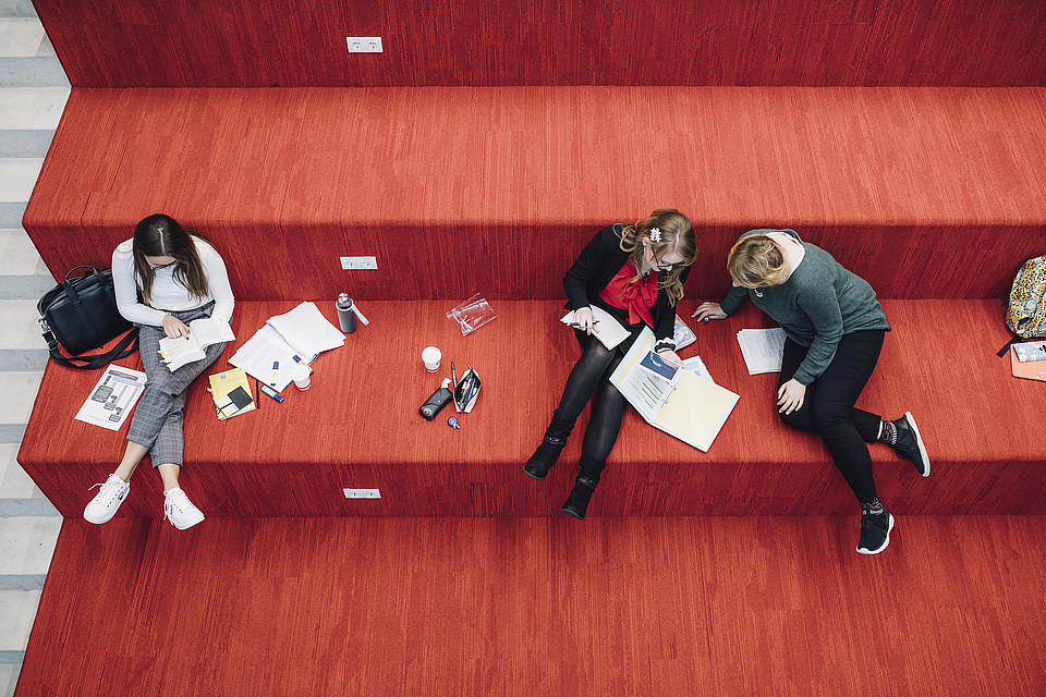 Blick von oben auf Studierende, die auf der gleichen Stufe der Universitätsbibliotheks-Treppe sitzen und lernen