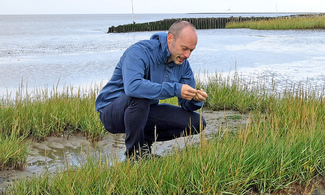 Tobias Pfingstl bei der Feldforschung in Japan: Der Biologe hat mit seinem Team Biodiversität und Klimawandel untersucht. Foto: Uni Innsbruck/Schatz