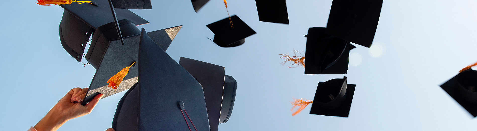 Doktorhüte werden in die Luft geworfen ©Nirat.pix - stock.adobe.com