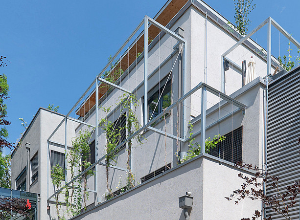 A house with a trellis covered in climbing plants ©Uni Graz/Angele