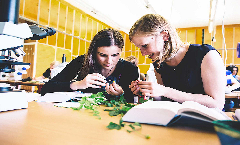 Zwei Studentinnen analysieren Blätter