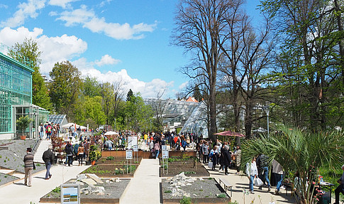 Raritätenmarkt ©Uni Graz - Grube Ulrike