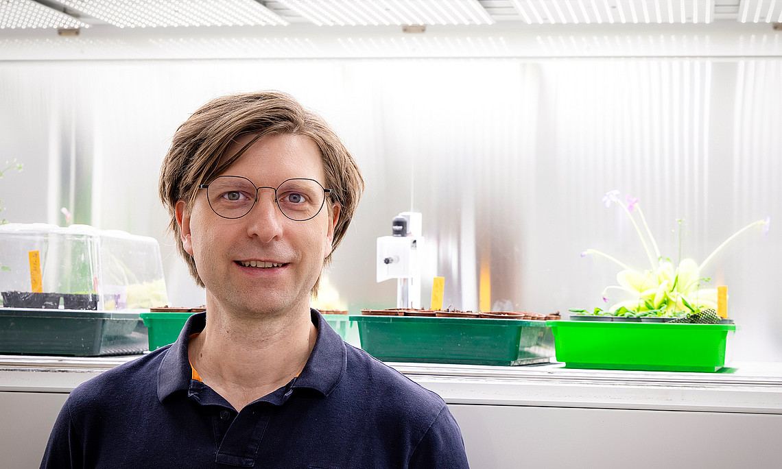 Pflanzenforscher Johannes Liesche im Pflanzenzucht-Labor