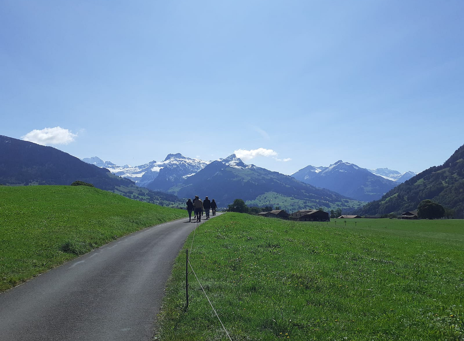 Wanderweg in Bern, im Horizont sieht man die Berner Berge und rechts und links befinden sich eine grüne Wiese. Vorne geht eine Gruppe Wanderer ©Sarah Hollaender