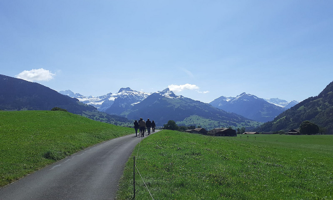 Wanderweg in Bern, im Horizont sieht man die Berner Berge und rechts und links befinden sich eine grüne Wiese. Vorne geht eine Gruppe Wanderer