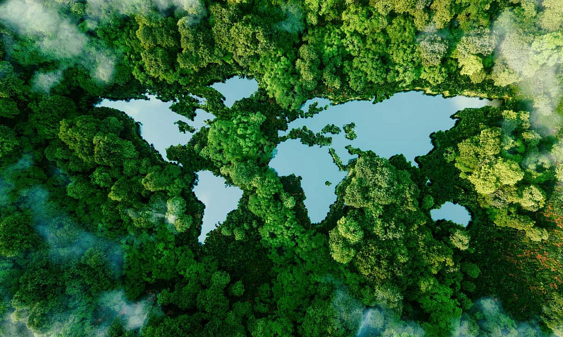 Luftaufnahme eines Regenwaldes als Beispiel für die Forschung zum Klimawandel der Universität Graz