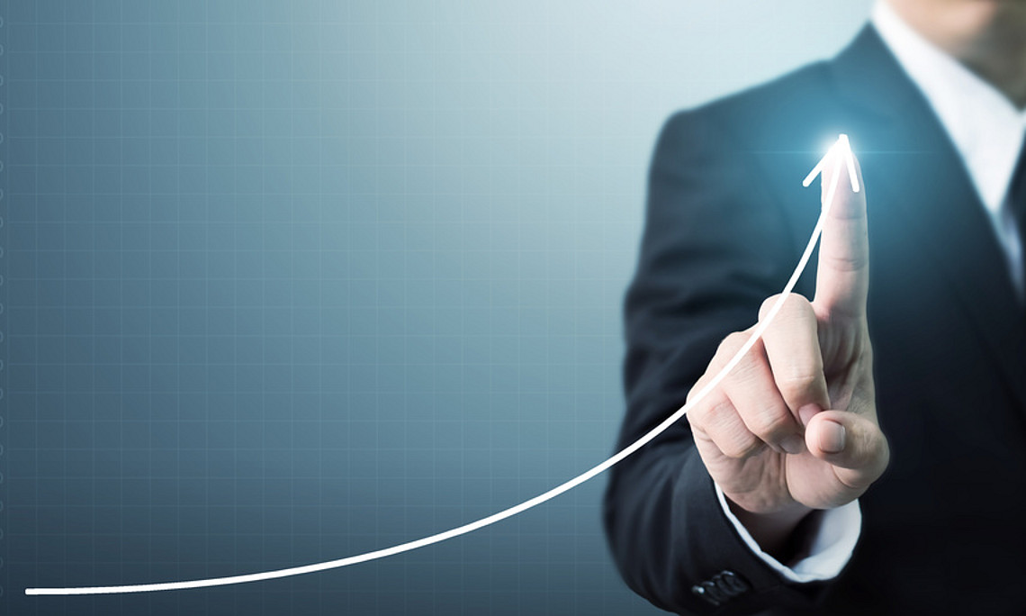 Wachstum, Strategie, Systeme, Business