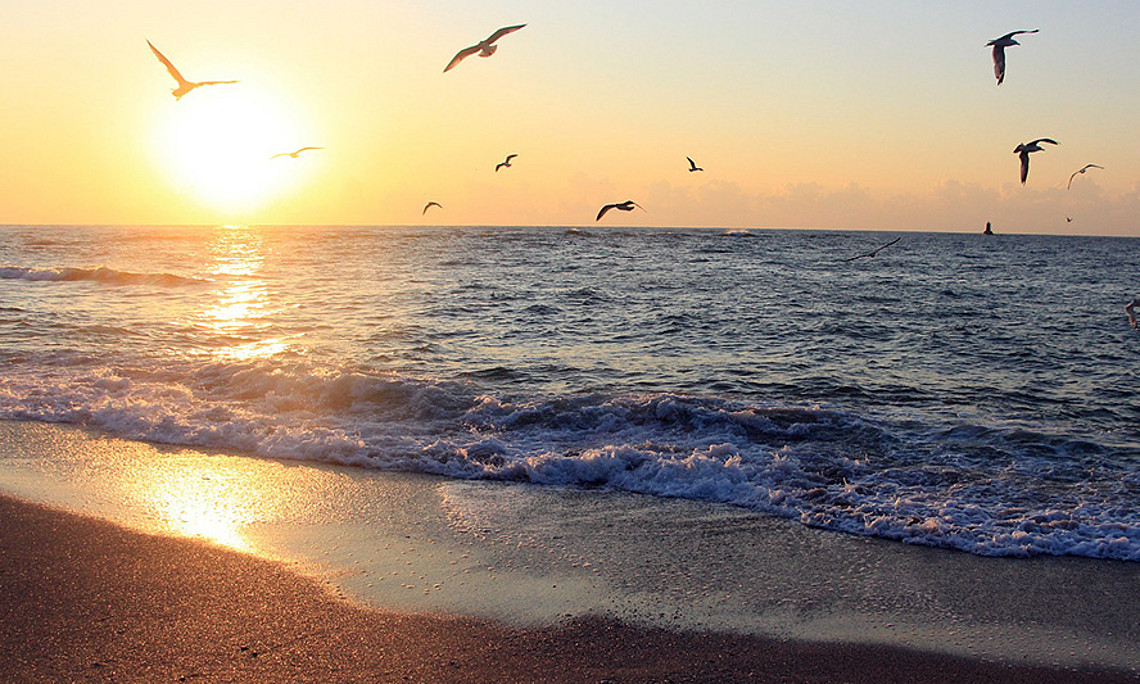 Die Region um das Schwarze Meer steht im Zentrum eines groß angelegten EU-Projekts. Foto: Pixabay