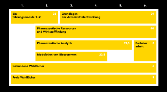 Studienaufbau | Pharmazeutische Wissenschaften - Studieren Probieren