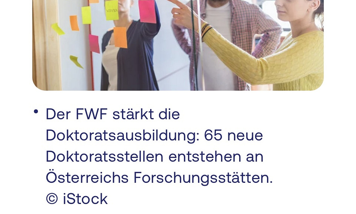 Screenshot FWF Website docfunds