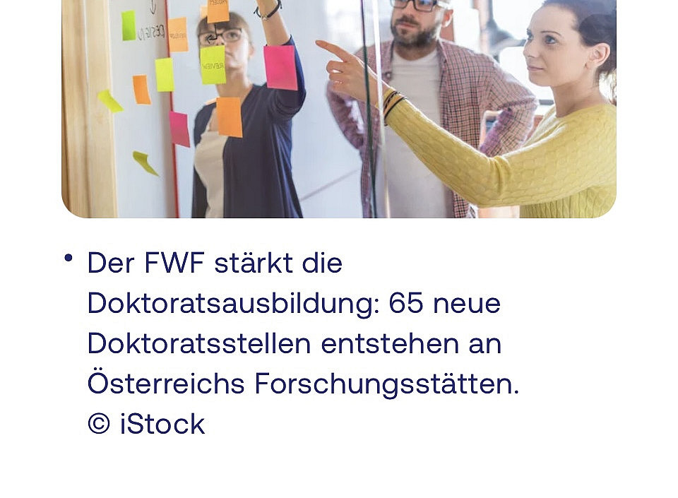 Screenshot FWF Website docfunds 