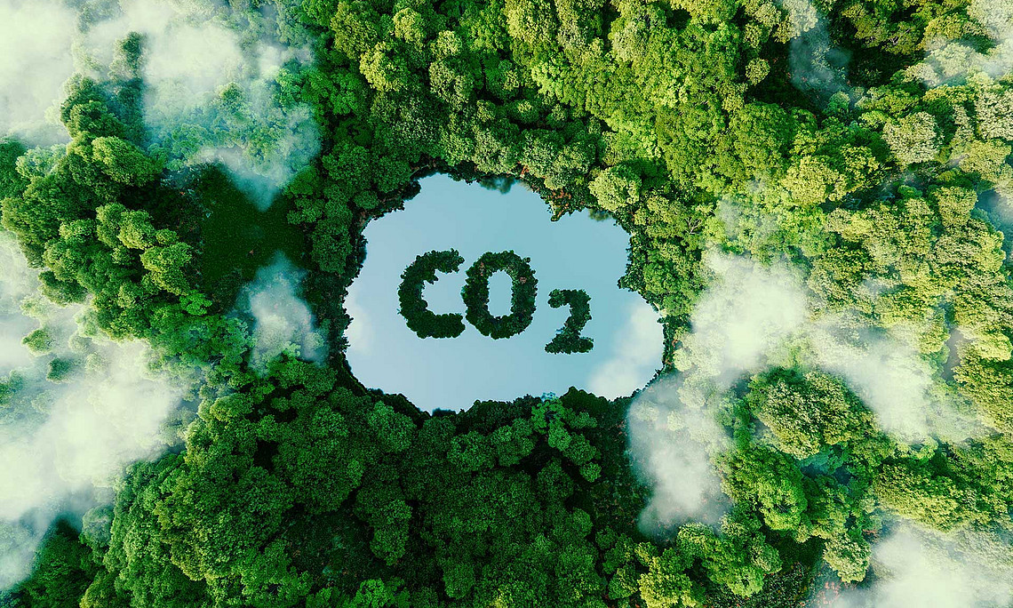Regenwald aus der Vogelperspektive, "Wolke", in der "CO2" steht