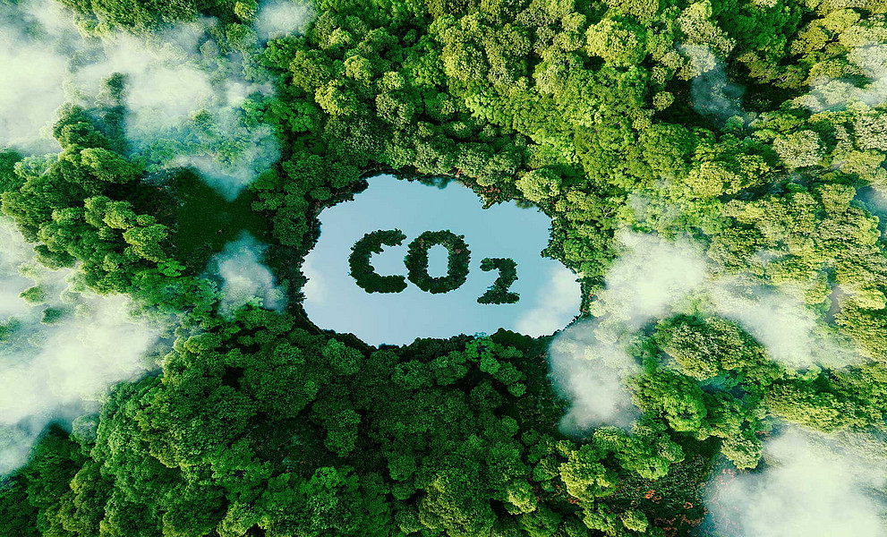 Regenwald aus der Vogelperspektive, "Wolke", in der "CO2" steht
