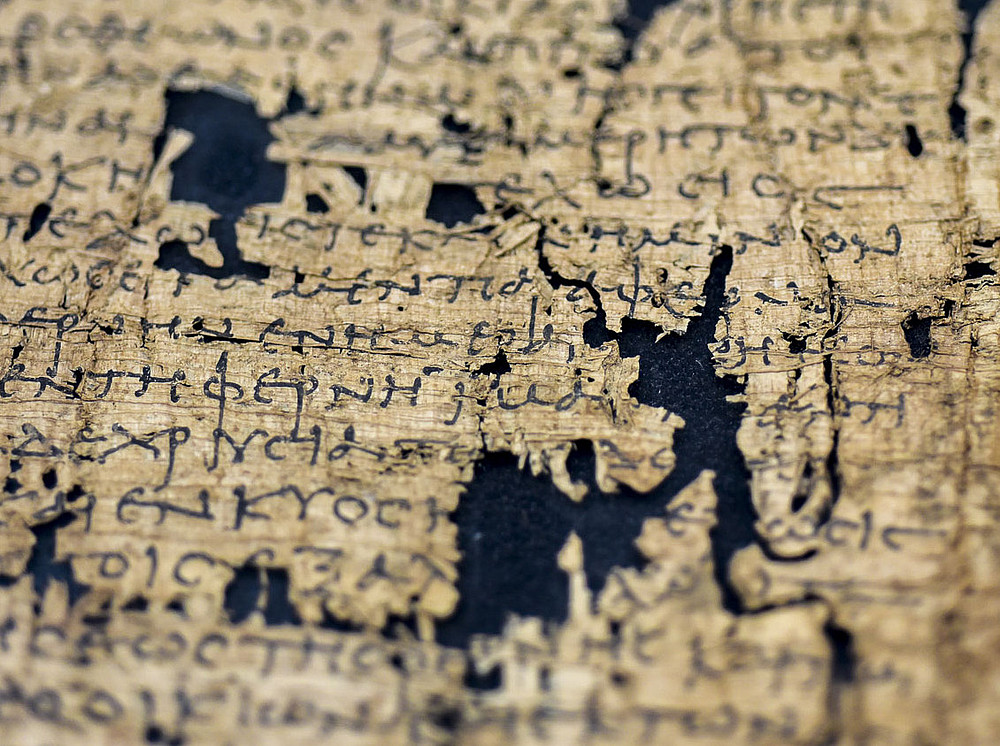 Darstellung eines Papyrus ©Uni Graz/Schwarz