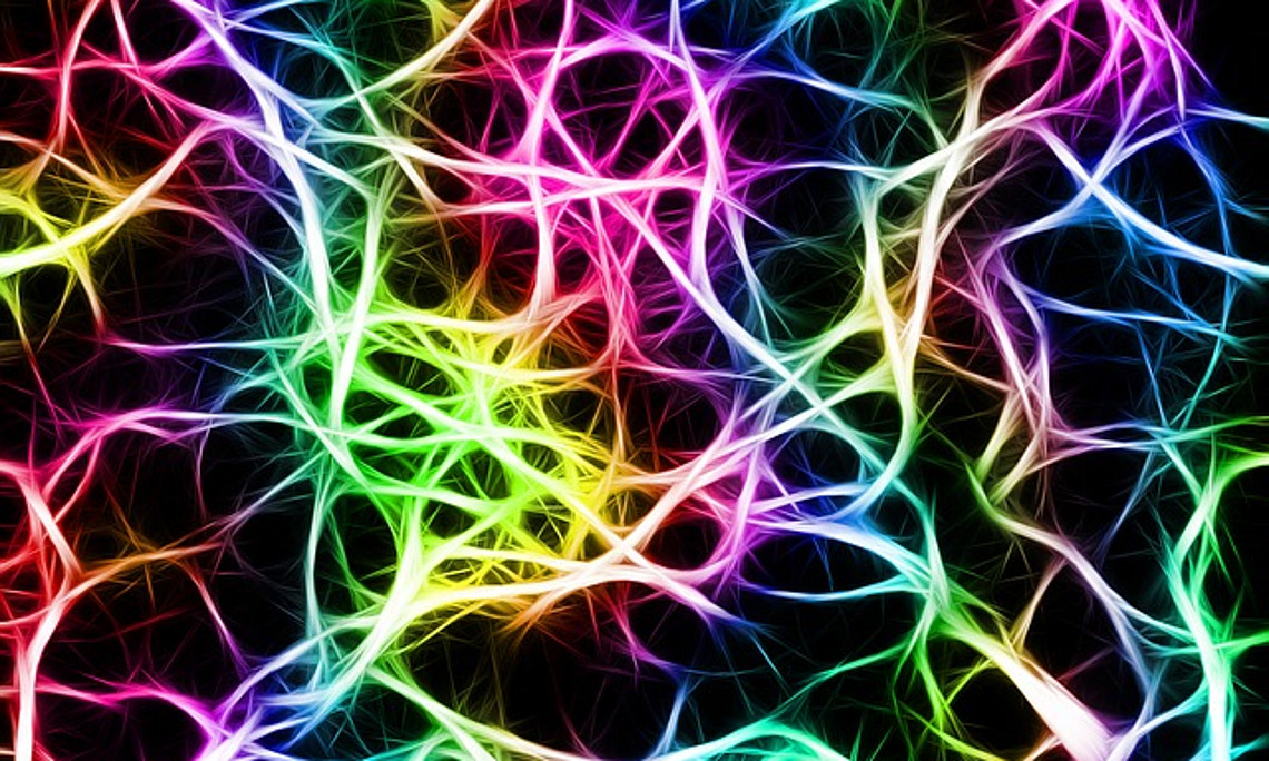Neue Entdeckung: Für die Gestaltwahrnehmung ist vor allem ein Areal im Scheitellappen der Großhirnrinde zuständig, der intra-parietale Sulcus (IPS). Foto: pixabay