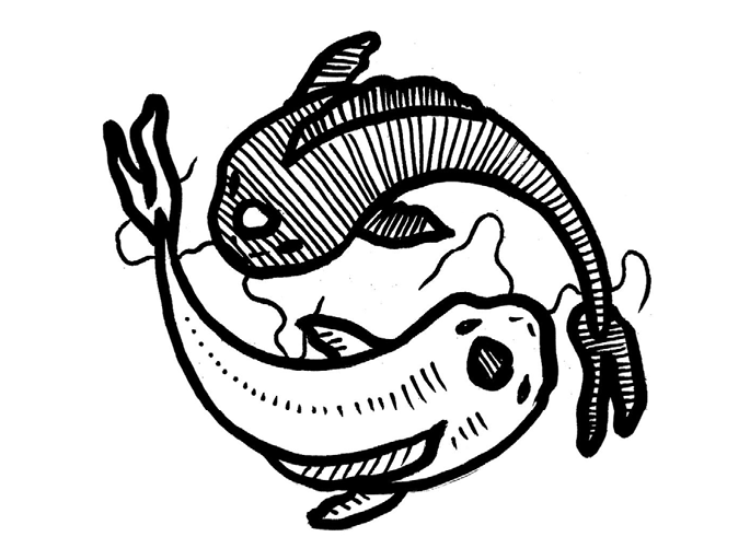 Yin Yang als Fische ©Konfuzius-Institut Graz/Miriam Ehler