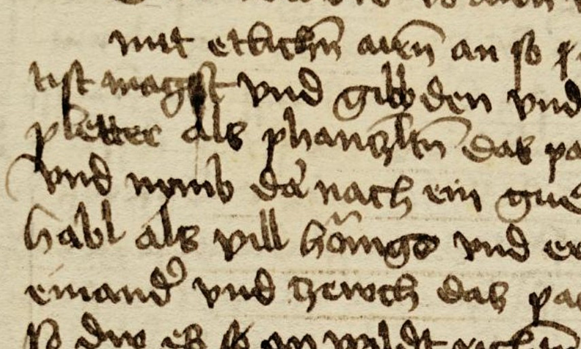 Ms. 1609 (fol. 13v)