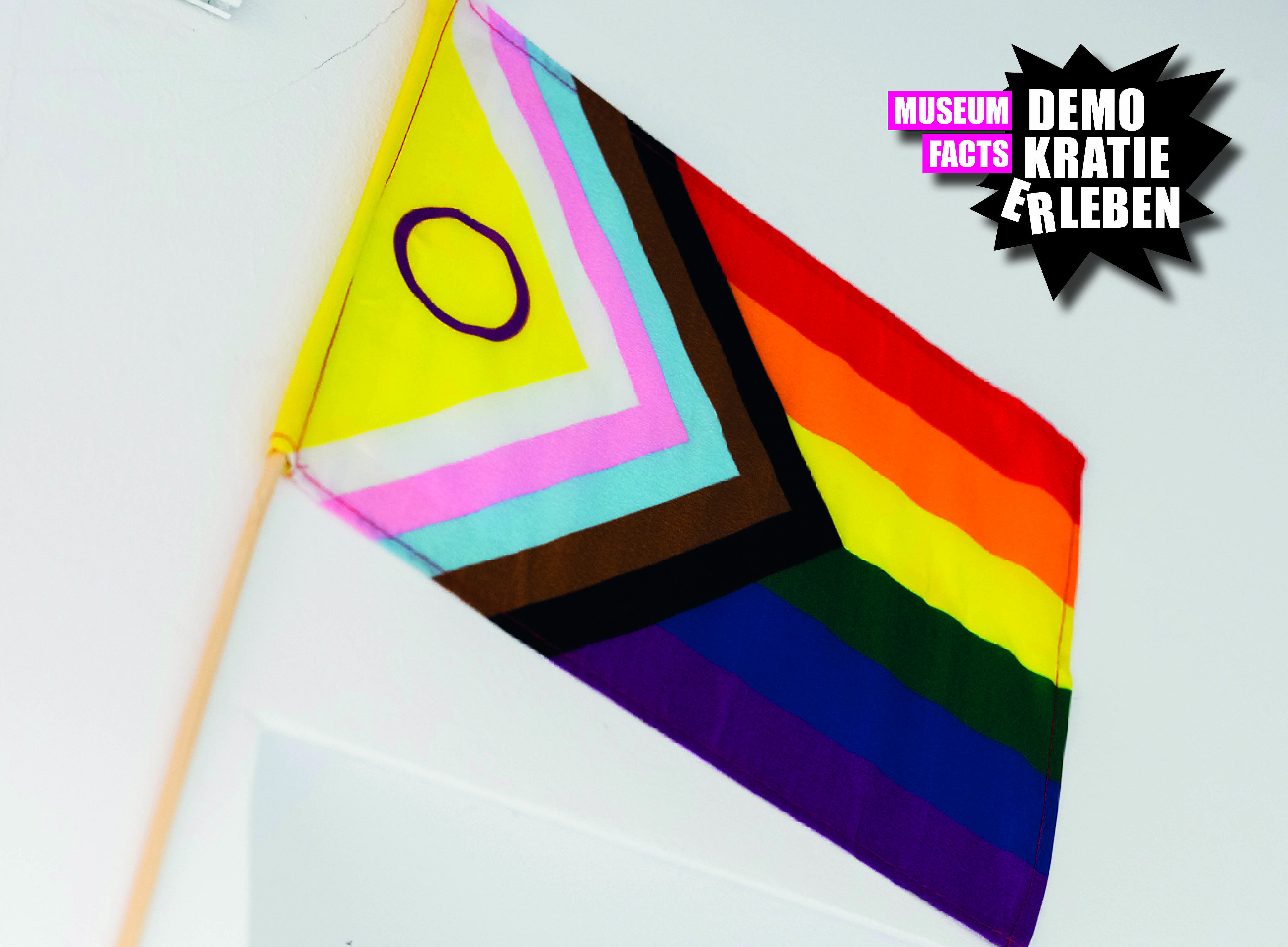 Sonderausstellung der Universitätsmuseen - Progressive Pride Flag mit MUSEUM FACTS Sticker im rechten, oberen Eck ©KANIZAJ photography