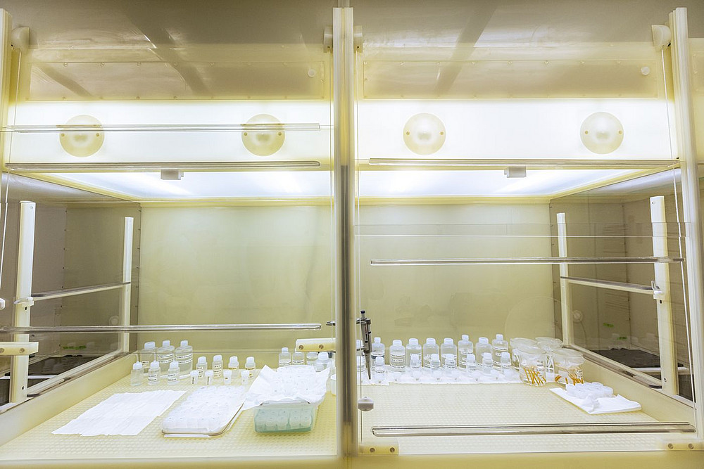 Lamina Flow fume cupboards in the clean room laboratory ©© Helmut Lunghammer