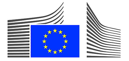 European Comission Logo 