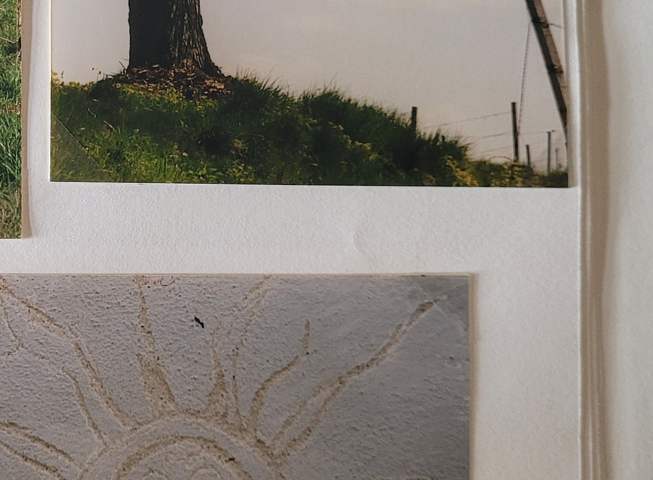 Weinzettel Fotoalbum 