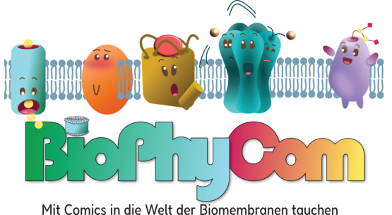 BioPhyCom_Logo, (C) Ariane Pessentheiner