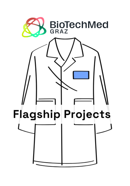 Flagship Projects 