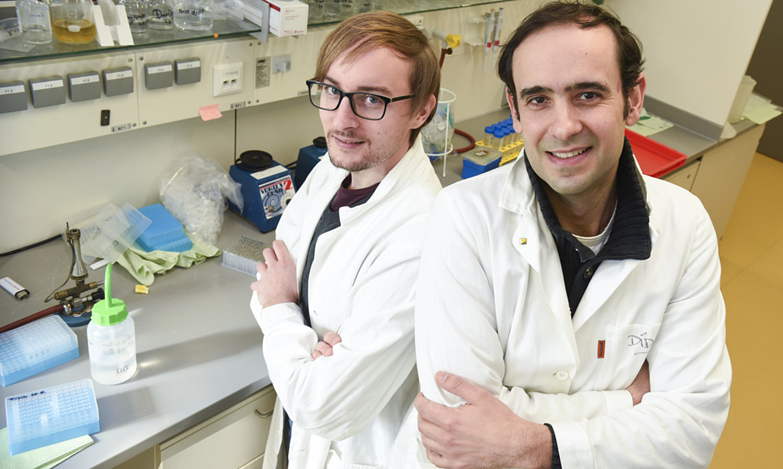 Andreas Zimmermann und Didac Carmona-Gutierrez (v.l.) forschen an der Universität Graz. Foto: Uni Graz/Tzivanopoulos