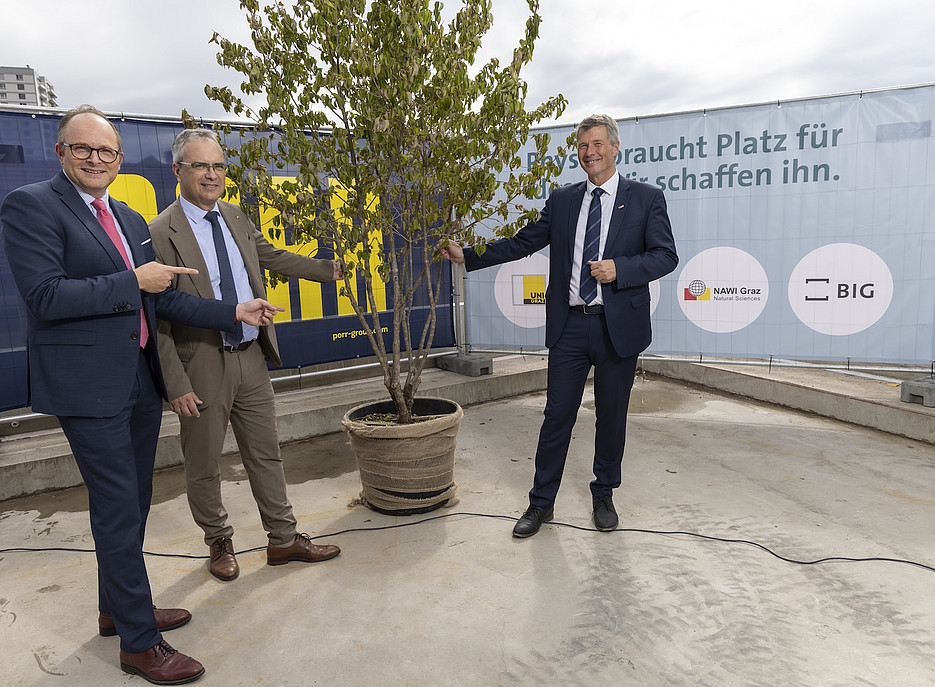 Drei Männer zeigen auf einen Baum 
