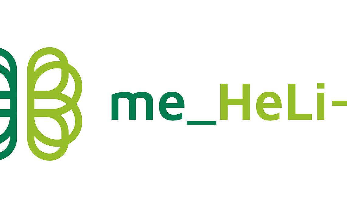 Logo Project me_Heli-D
