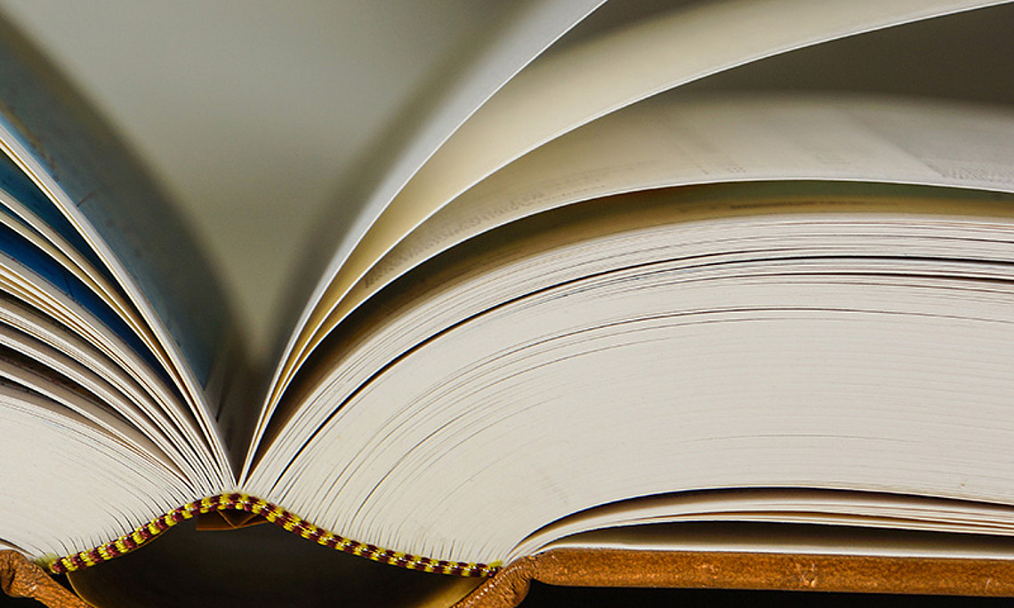 Es ist eine literarische Leistungsschau, zu der die „historischen“ Institute – das ist die Plattform Geschichte-Graz-Zukunft – mit der Woche des „historischen“ Buches vom 18. bis 22. Mai 2015 laden. Foto: Rainer Sturm - pixelio.de