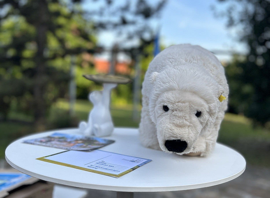 Stoffeisbär für Postkartenaktion 
