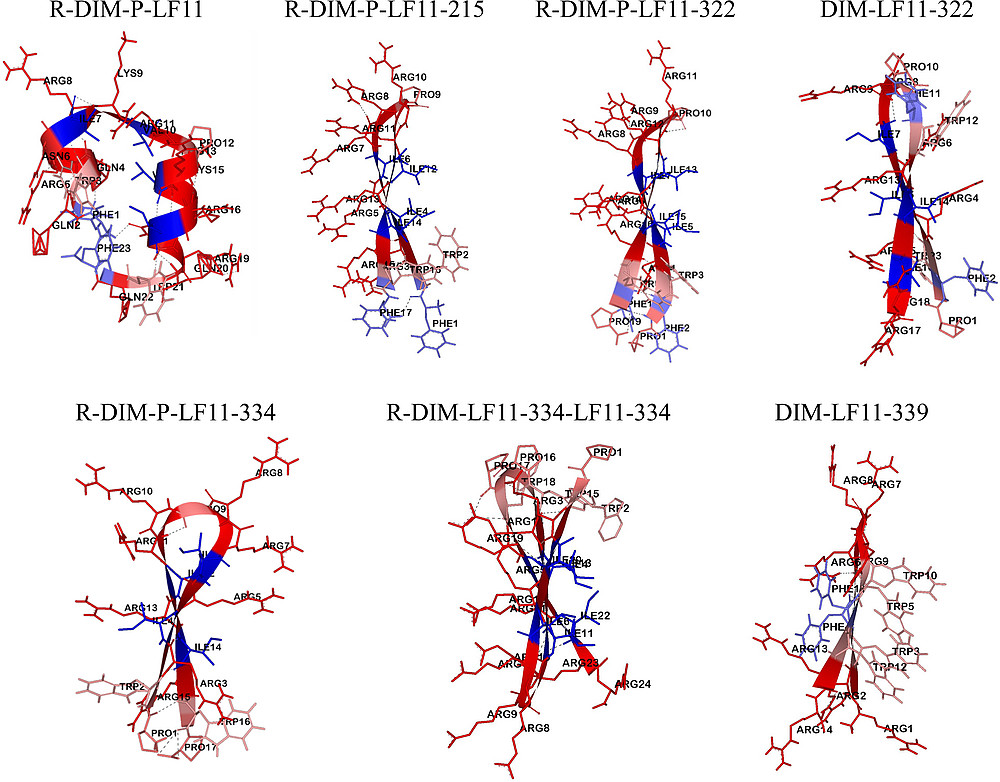 Positiv geladene Peptide abgeleitet von der angeborenen Immunabwehr können negativ geladene Krebszellmembranen spezifisch targeten und in der Krebszelle den programmierten Zelltod einleiten ©S. Riedl, PEP-fold