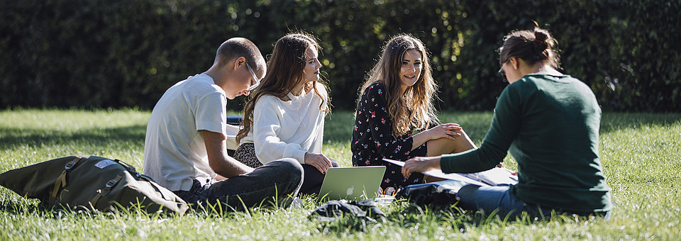 Vier Studierende sitzen als Gruppe in der Campuswiese und unterhalten sich oder lernen mit ihren Unterlagen