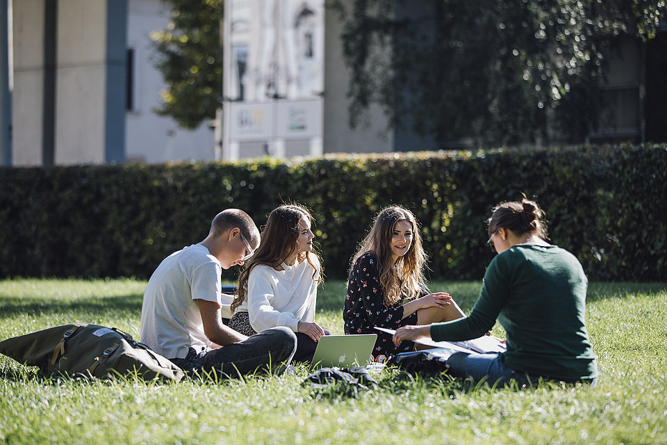 Vier Studierende sitzen als Gruppe in der Campuswiese und unterhalten sich oder lernen mit ihren Unterlagen
