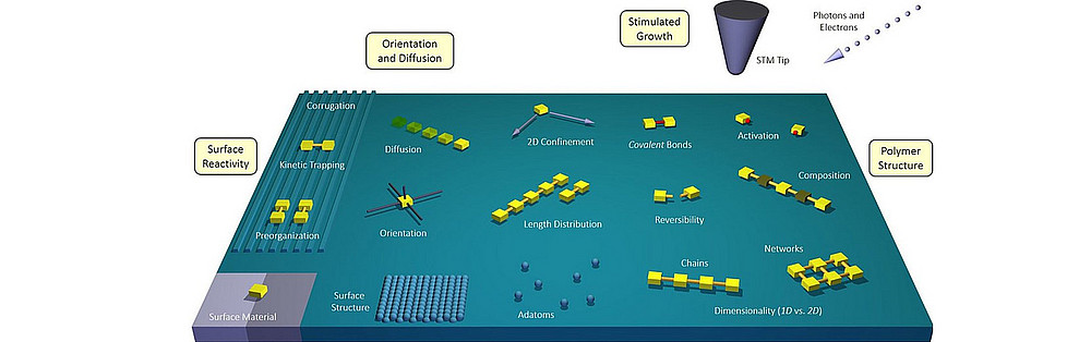 Covalent on-surface polymerization ©University of Graz, L. Grill and S. Hecht