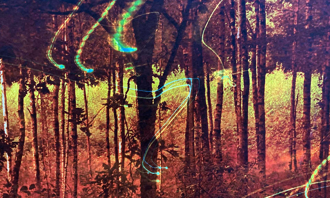 Foto-Kunst zum erhöhten Risiko von Waldbränden. 
