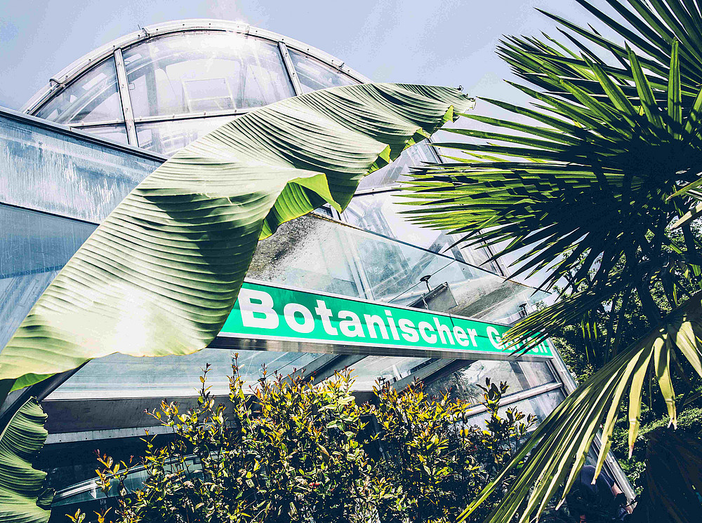 A glass house with the words Botanic Garden on it and green plants in front of it ©Uni Graz/Kanizaj