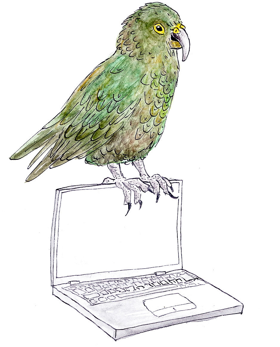 Kea Vogel thront auf Laptop ©Martin Busse