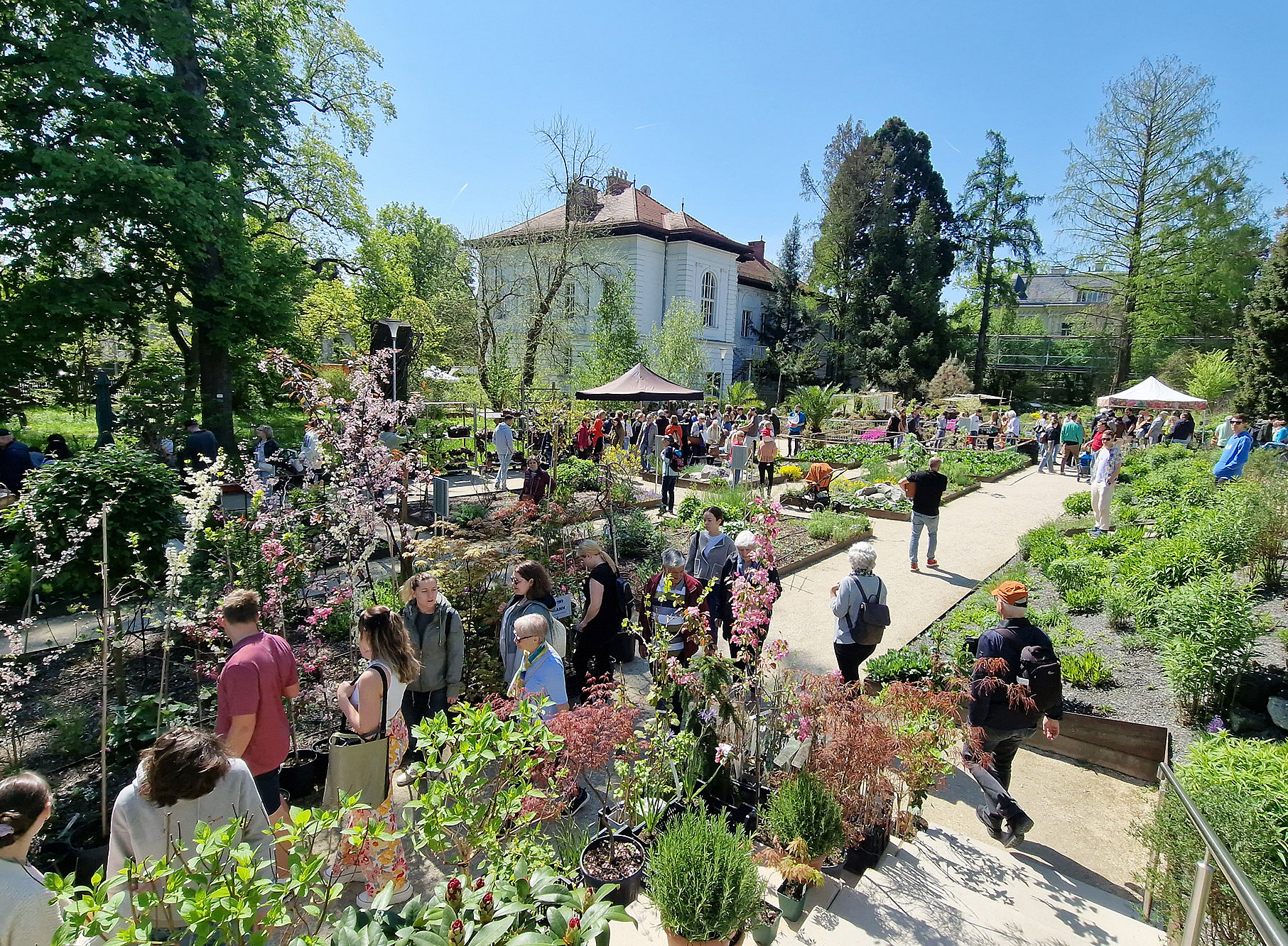 erhöhter Blick auf den Botanischen Garten während des Raritätenmarkts 