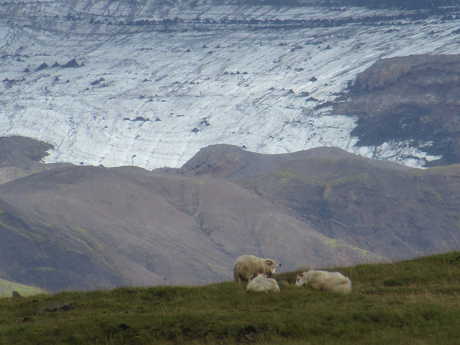Landschaft von Island ©Global Diary | Annika Gruber