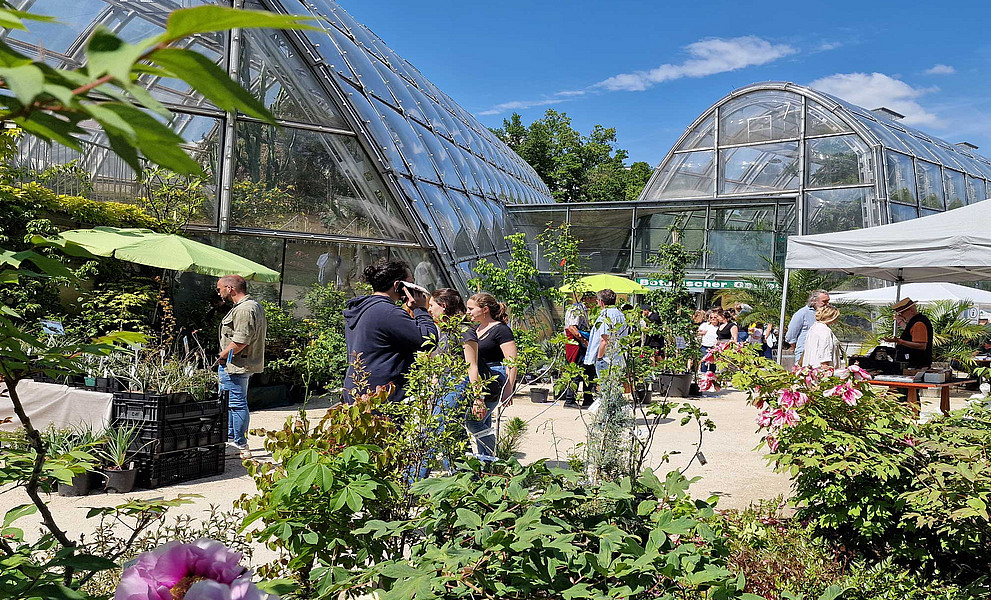Menschen und Verkaufsstände mit Pflanzen vor dem Eingang zu den Glashäusern des Botanischen Gartens