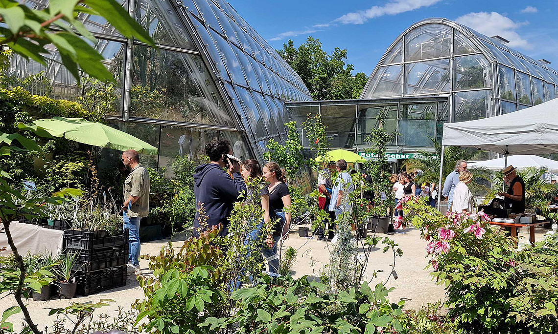 People and stalls with plants in front of the entrance to the glasshouses of the Botanical Garden