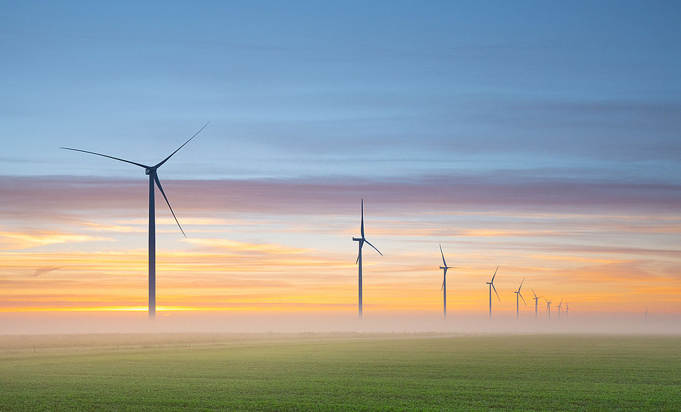 Windräder auf grüner Wiese mit Nebel, Abendstimmung mit orangen Wolken