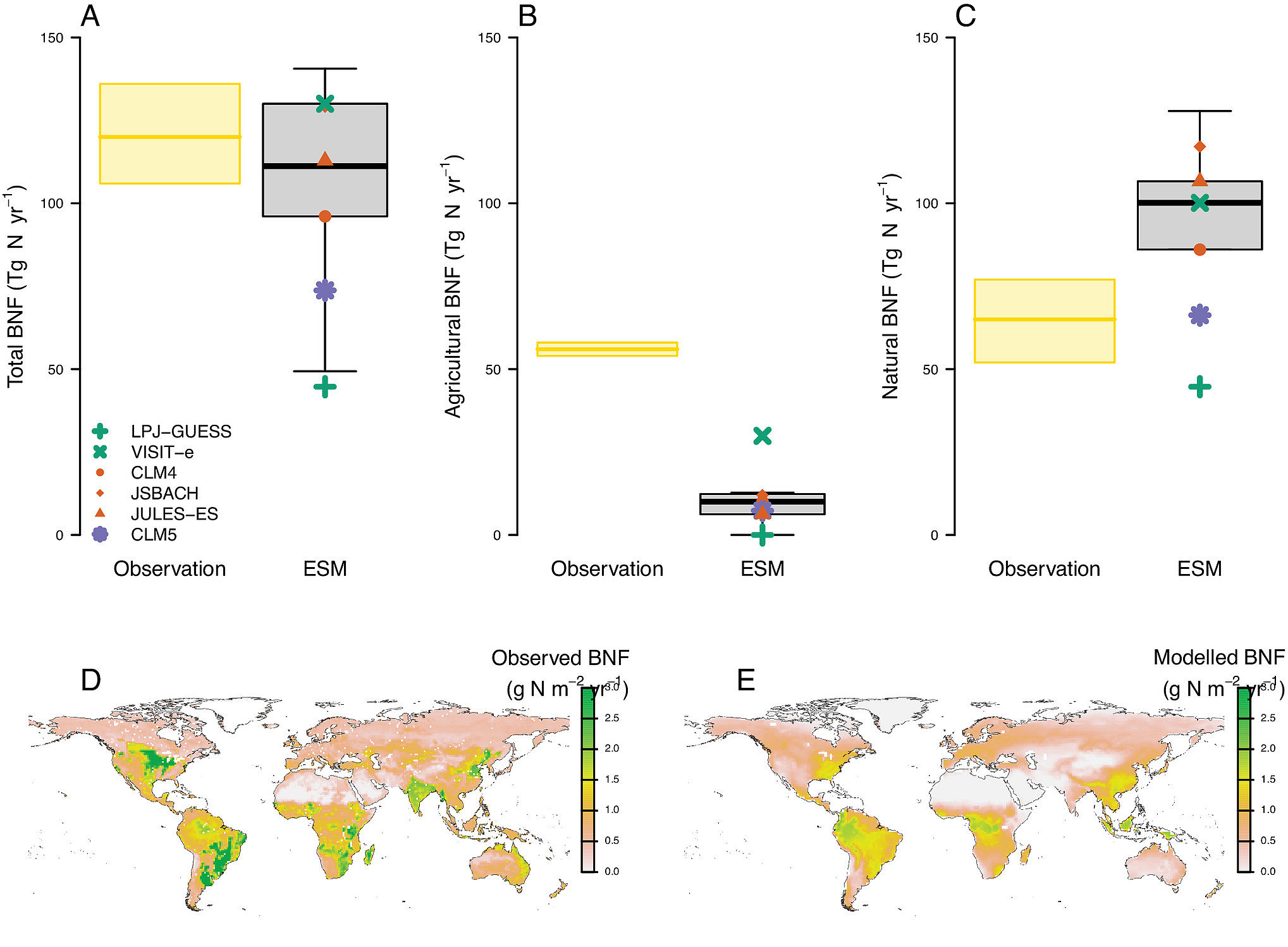 Comparison between empirical and modeled present-day terrestrial BNF. (A) Total, (B) agricultural, and (C) natural global BNF from a new empirical BNF synthesis (26) and ESMs (averaged over 1995 to 2014). ©Bettina Weber