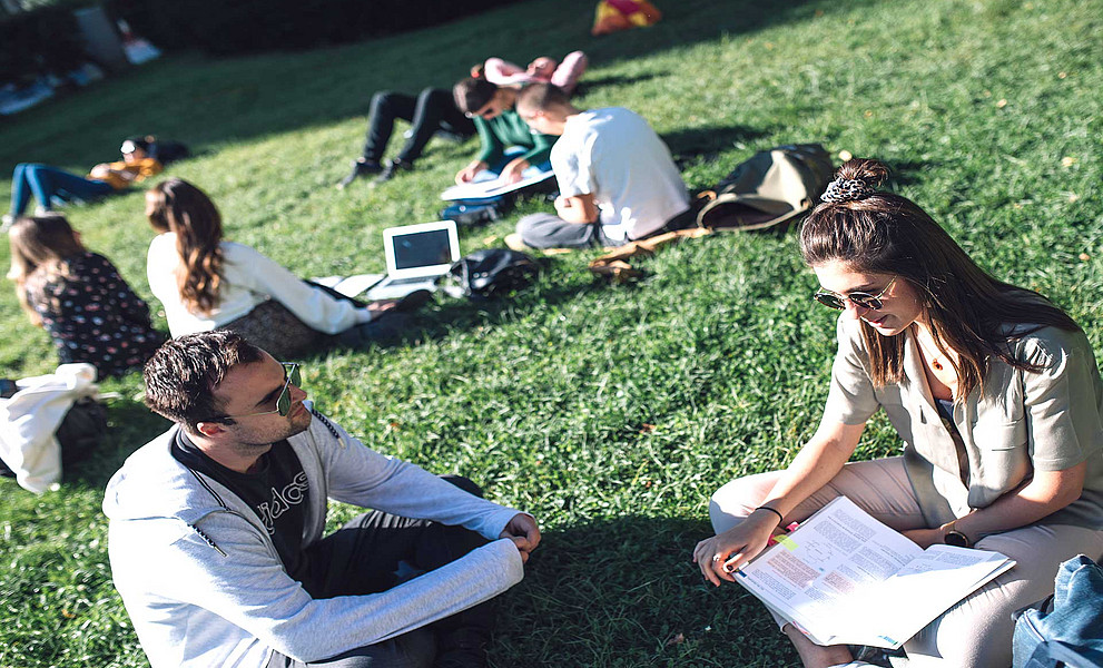 Studierende lernen auf Wiese
