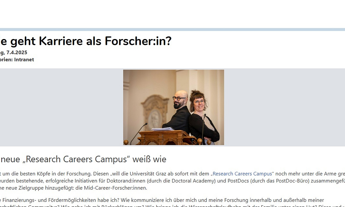 Screenshot Intranet, Stadlbauer 