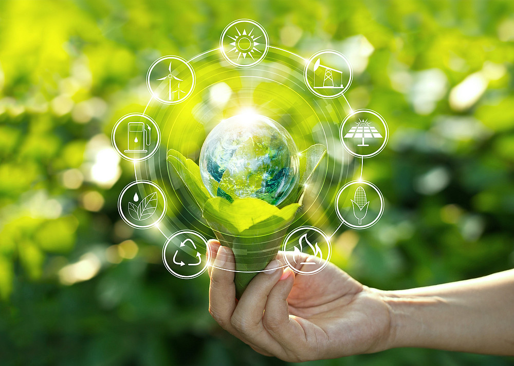 A globe wrapped in leaves is held by a hand ©ipopba - stock.adobe.com